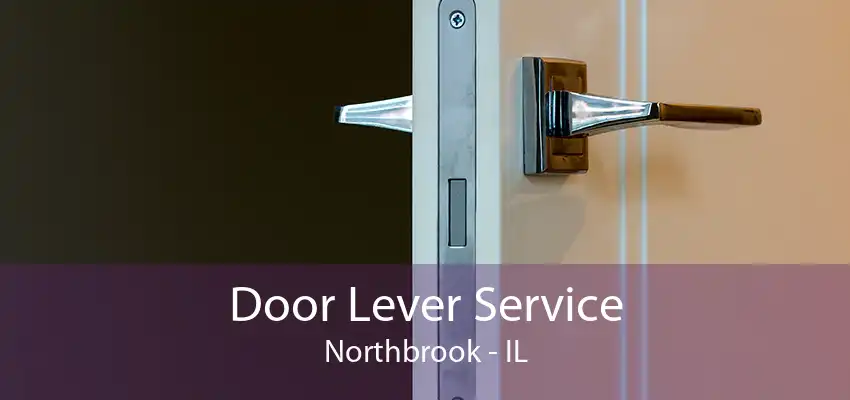 Door Lever Service Northbrook - IL